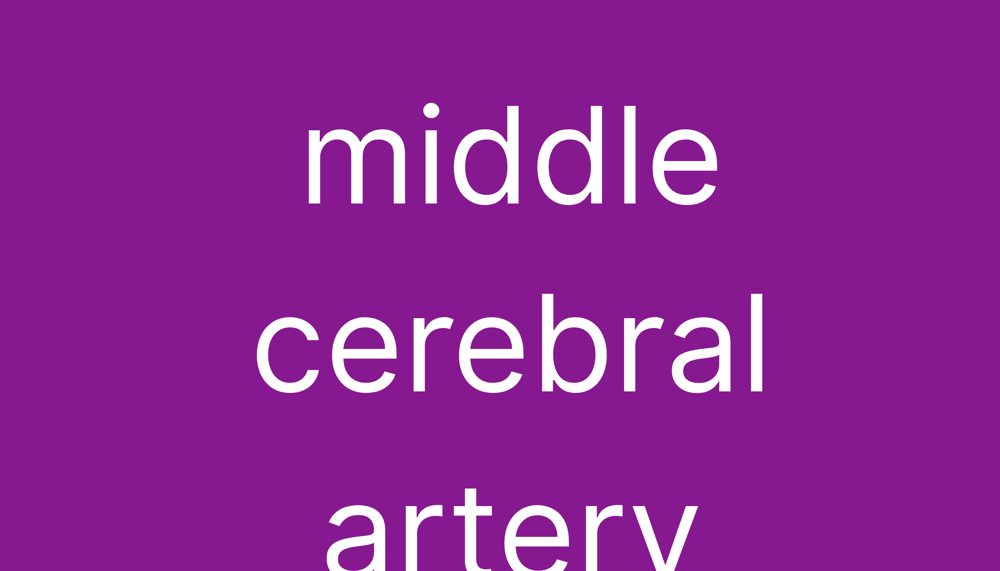 middle-cerebral-artery-meaning-of-middle-cerebral-artery-definition